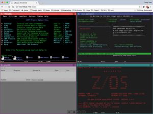 browser terminal emulation