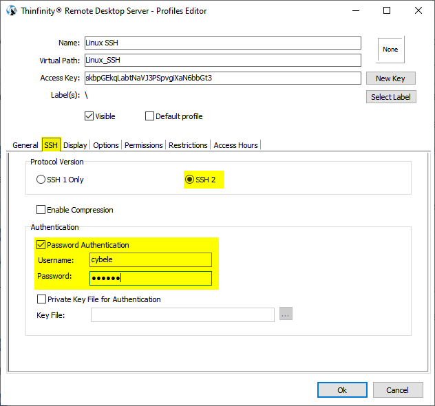 How to create SSH connections from your browser using the New Thinfinity Remote Desktop