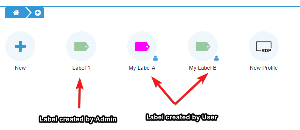 Customize the RDP access profiles with labels, step 13