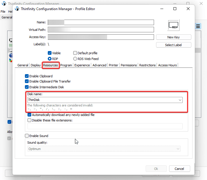 Customize the ThinDisk name, step-02