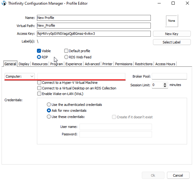 Host any Windows applications on Windows VPS, step 06